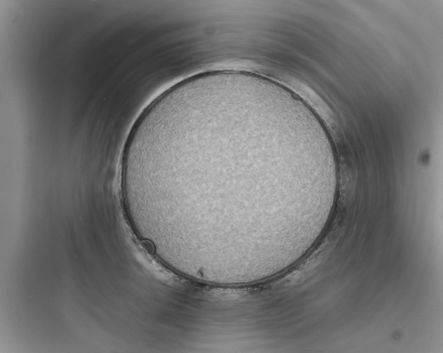 X0000097621044200803211741