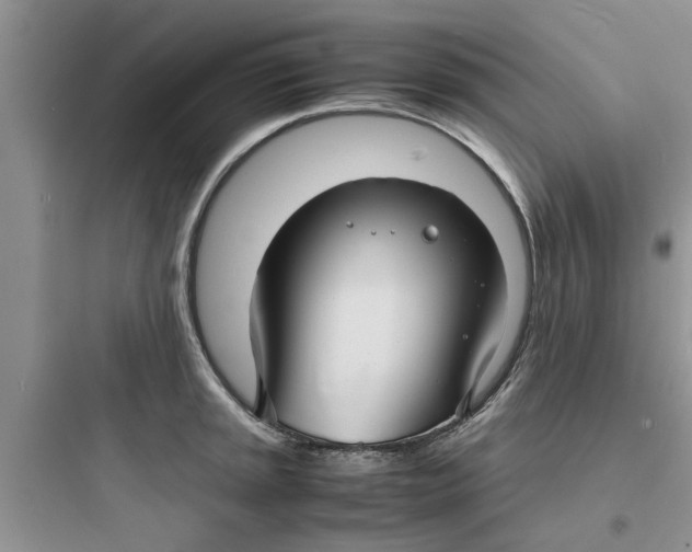 X0000097621045200803211741