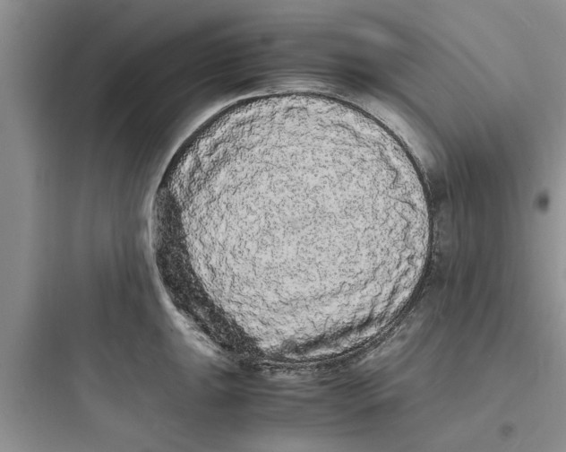 X0000097621047200803211741