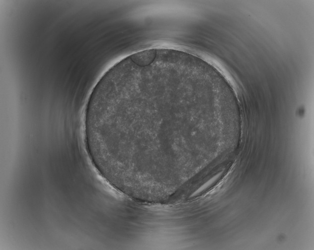 X0000097621048200803211741