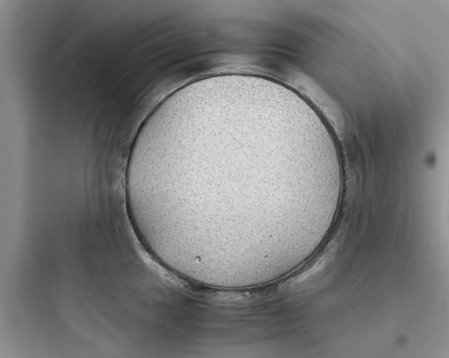 X0000097621049200803211741