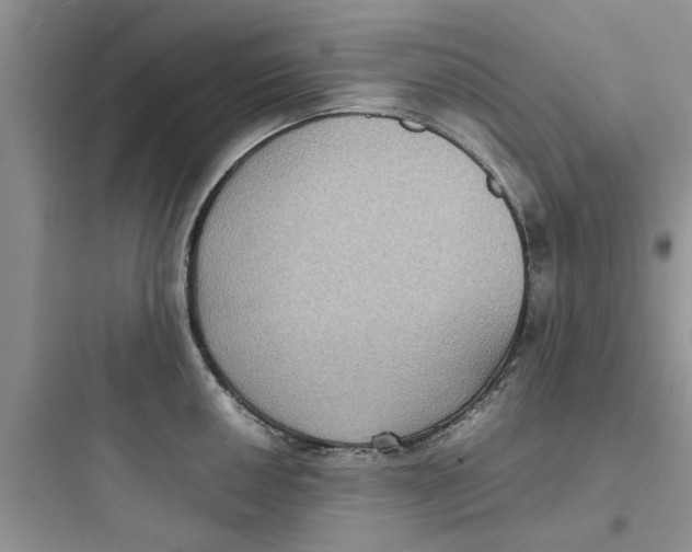 X0000097621050200803211741