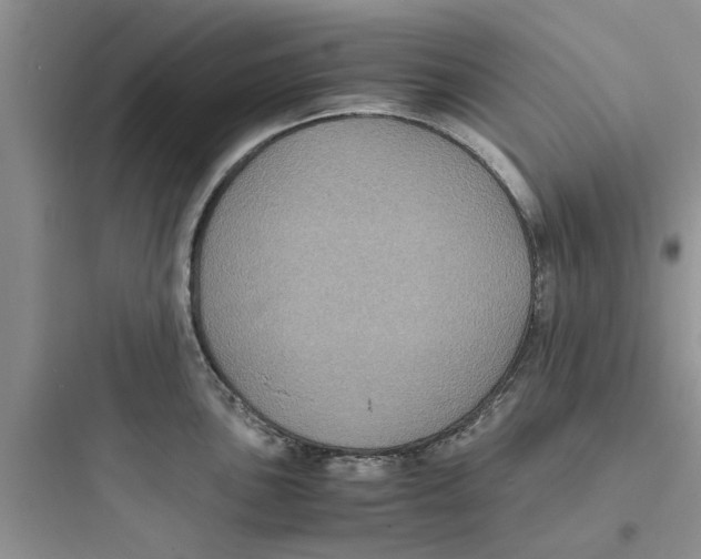 X0000097621051200803211741