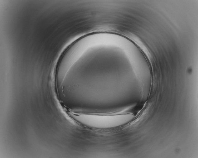 X0000097621053200803211741