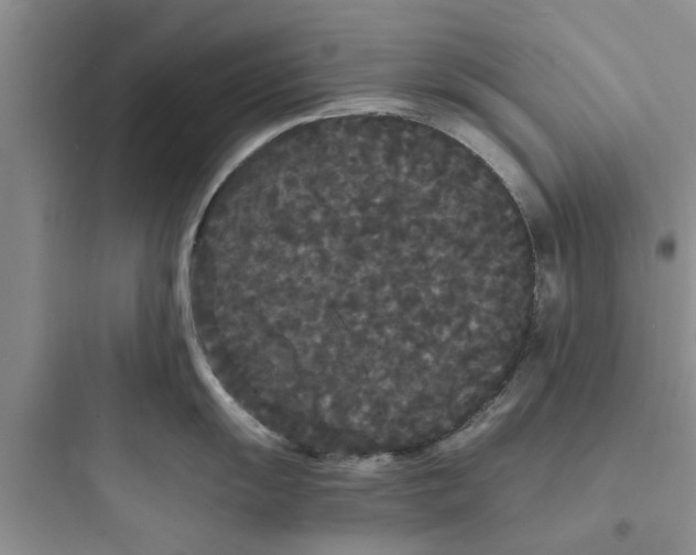X0000097621055200803211741
