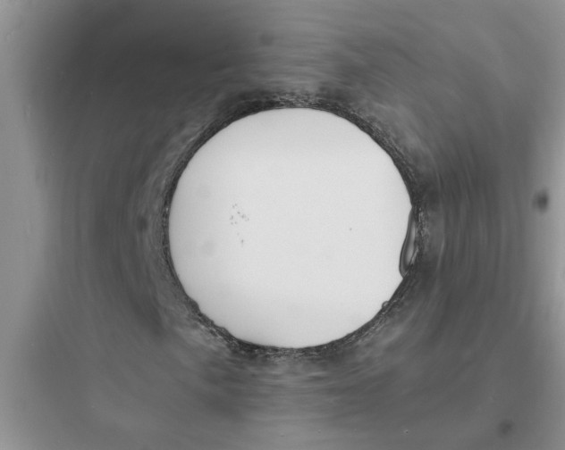X0000097621057200803211740