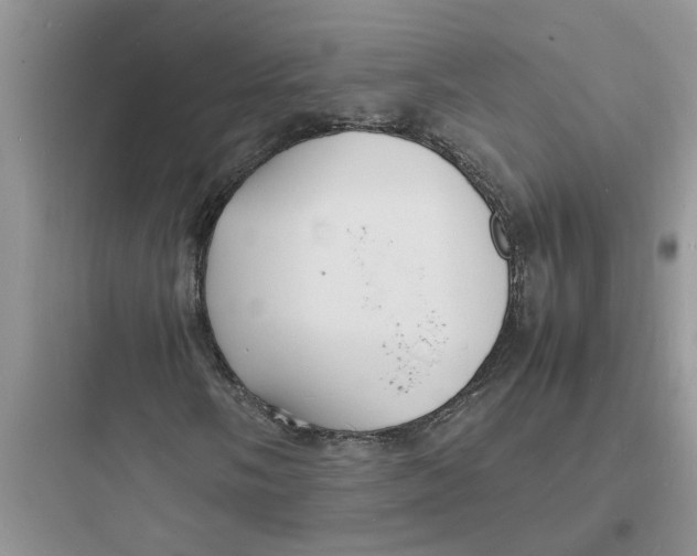 X0000097621058200803211740
