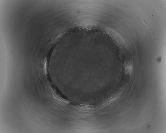 X0000097621060200803211740