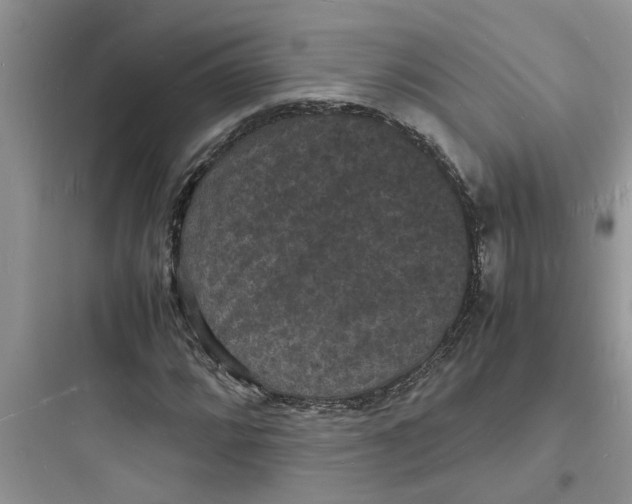 X0000097621064200803211740