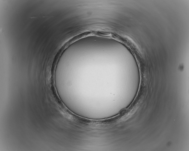 X0000097621065200803211740