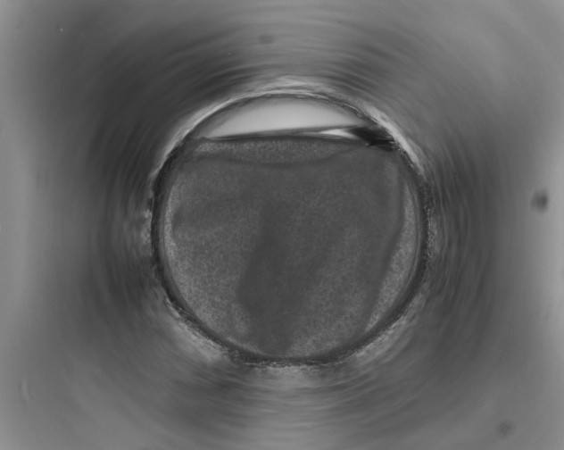 X0000097621066200803211740