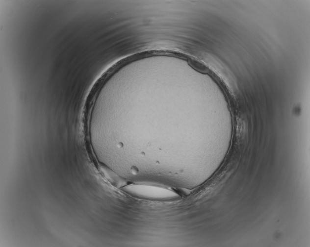 X0000097621068200803211740