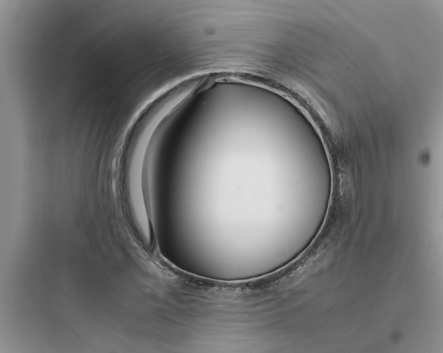 X0000097621069200803211740