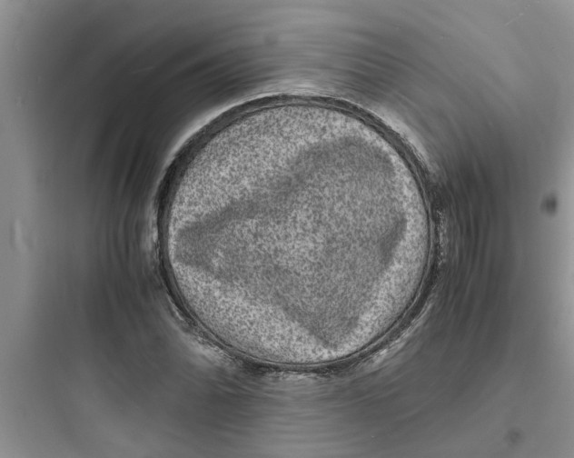 X0000097621070200803211740
