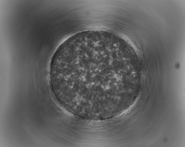 X0000097621071200803211740