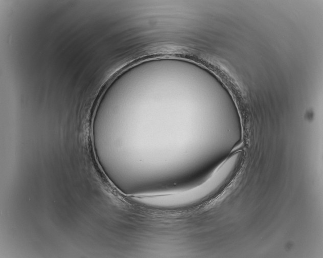 X0000097621073200803211740