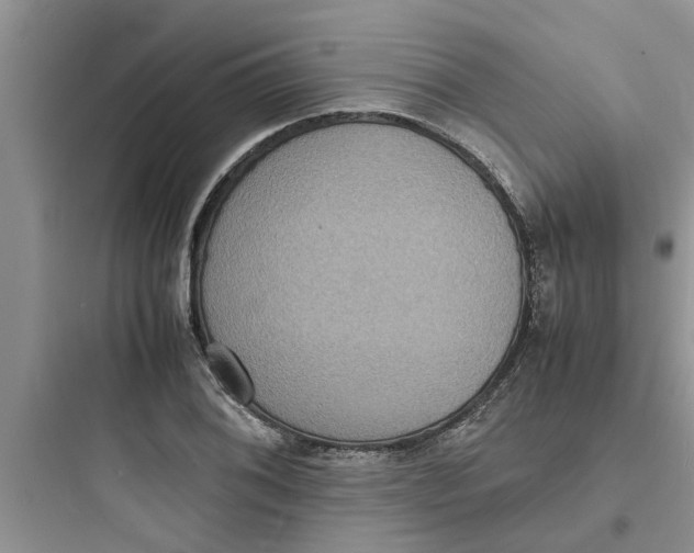 X0000097621076200803211740