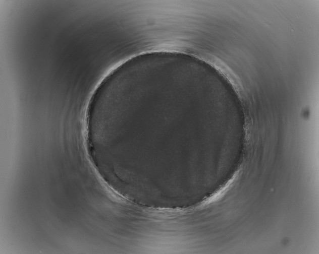 X0000097621077200803211740
