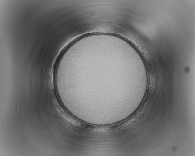 X0000097621078200803211740