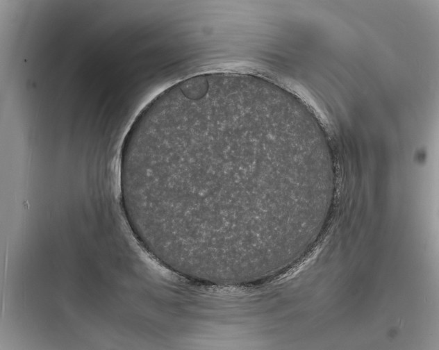 X0000097621079200803211740