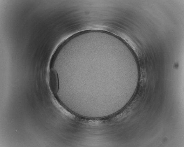 X0000097621080200803211740