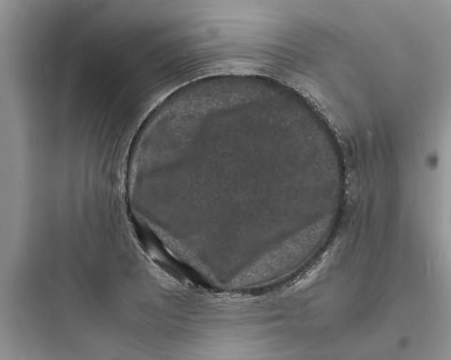 X0000097621081200803211740