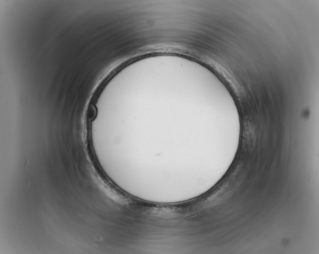 X0000097621082200803211740