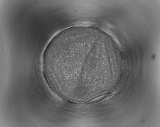 X0000097621083200803211740