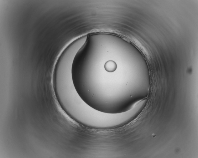 X0000097621084200803211740