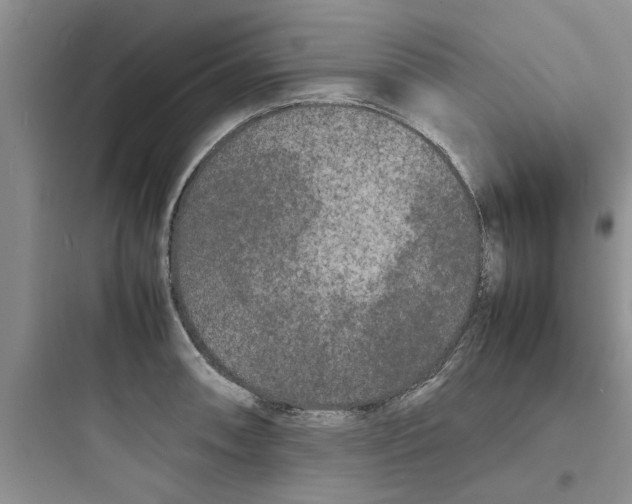 X0000097621090200803211740