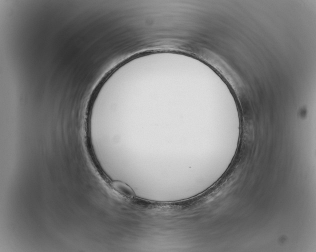 X0000097621093200803211740