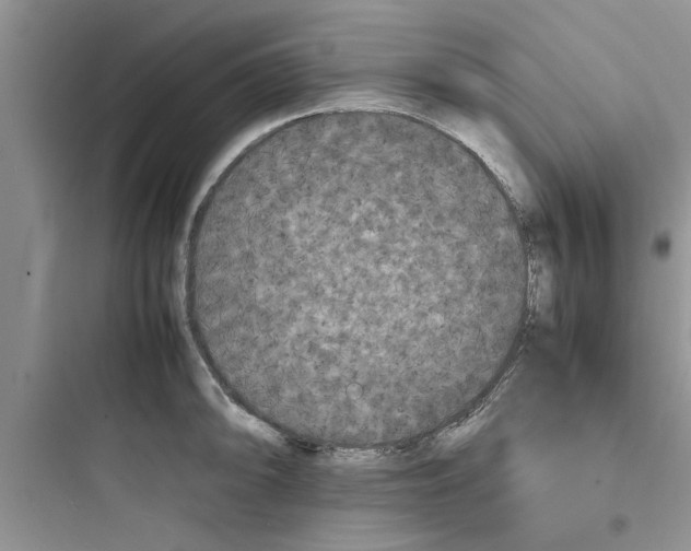 X0000097621094200803211740