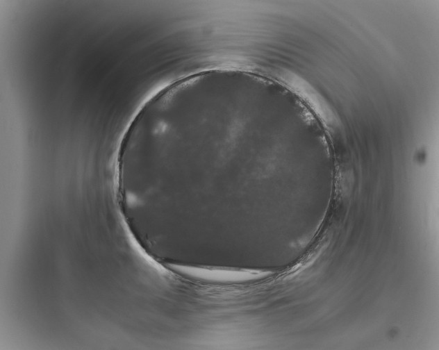 X0000097621095200803211740