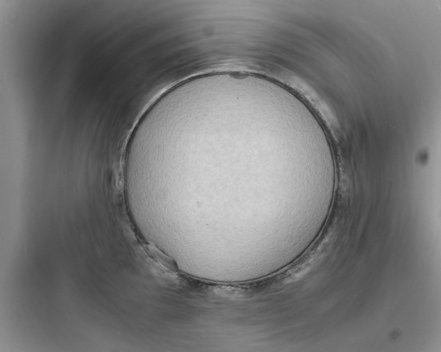 X0000097621097200803211740