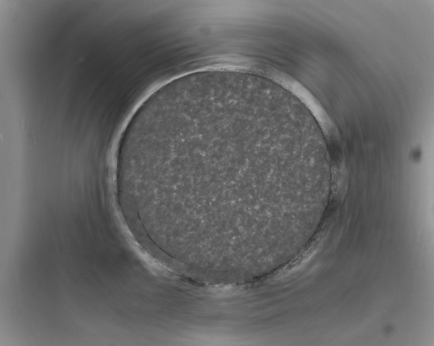 X0000097621099200803211740