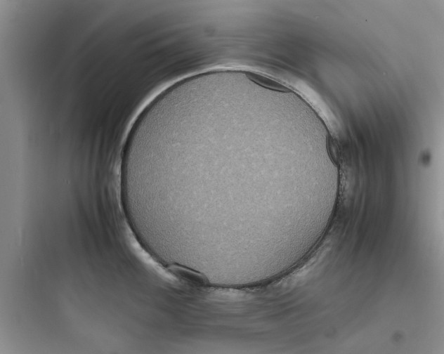 X0000097621100200803211740