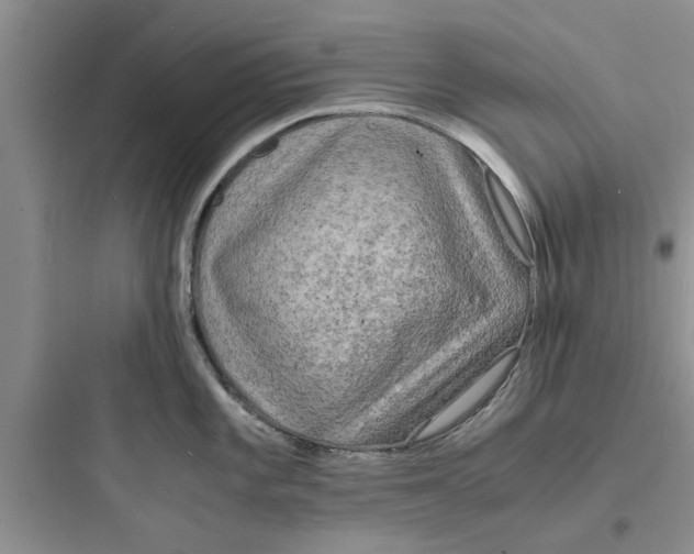 X0000097621101200803211739