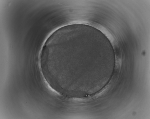X0000097621102200803211739