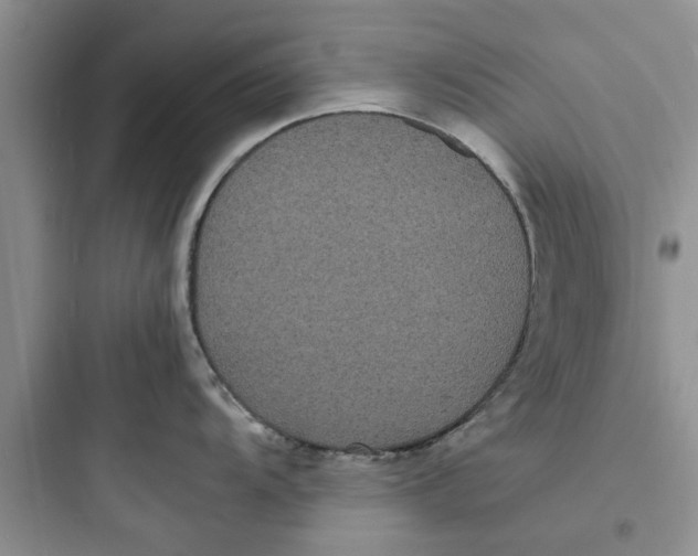 X0000097621104200803211739