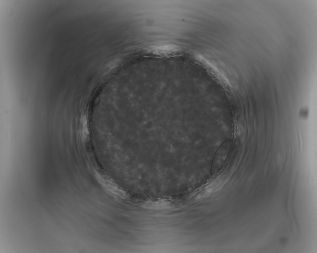 X0000097621106200803211739