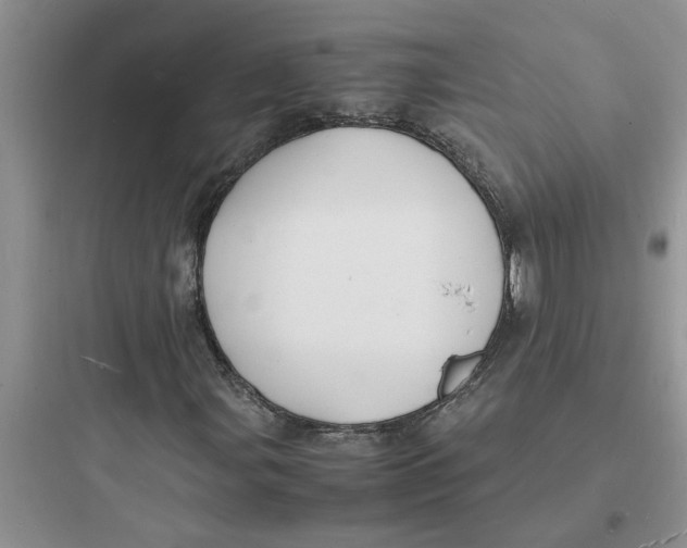 X0000097621107200803211739