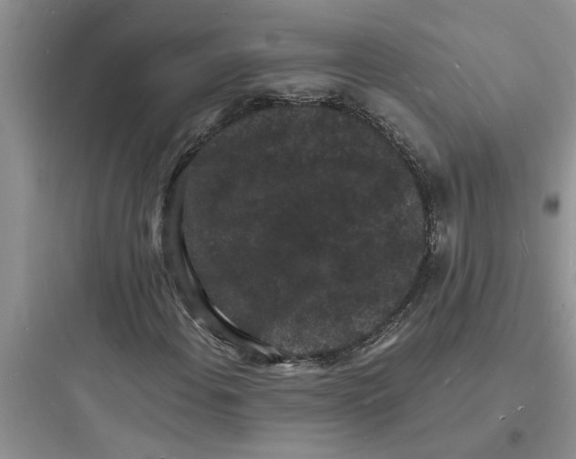 X0000097621108200803211739