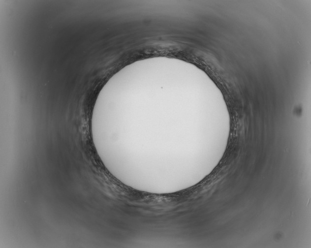 X0000097621109200803211739