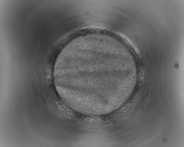 X0000097621110200803211739