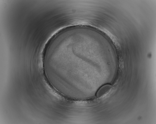 X0000097621118200803211739
