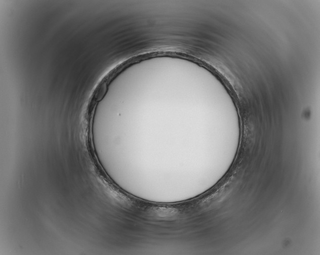 X0000097621119200803211739