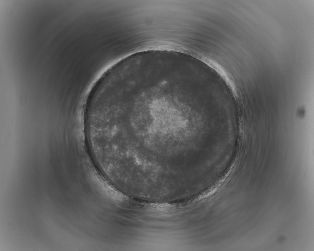 X0000097621120200803211739