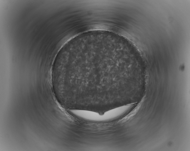 X0000097621121200803211739