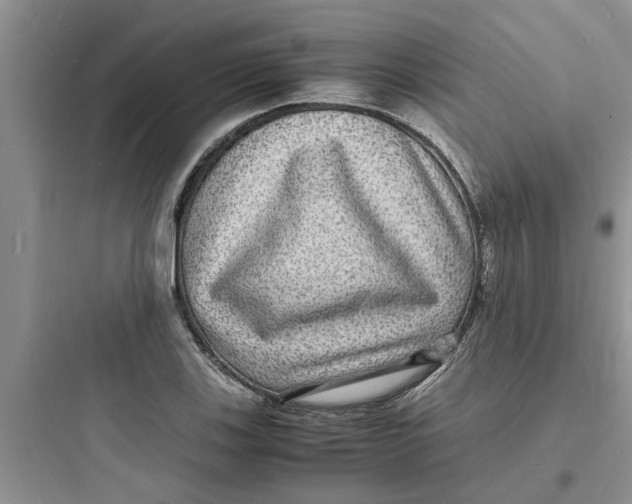 X0000097621123200803211739