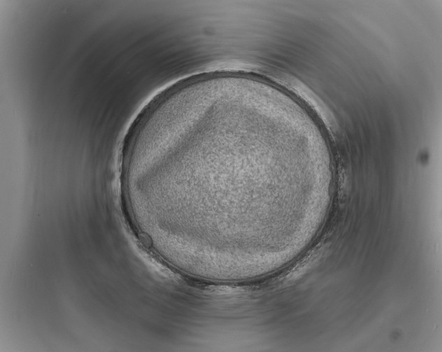X0000097621124200803211739